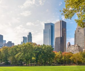 Municipal skyline and city park development