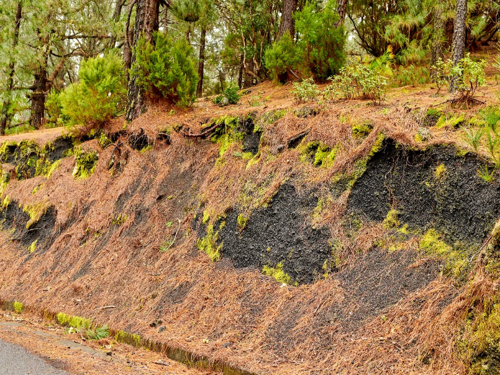 Engineered embankment around a produced water impoundment in West Texas