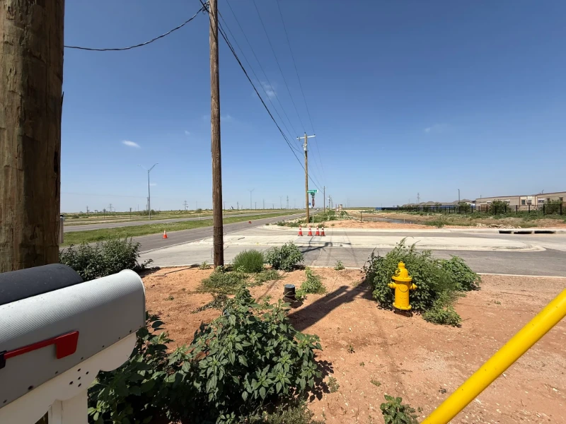 Todd Road Waterline Survey and SUE: Intersection at Todd Drive with existing hydrant, roadway, and overhead lines captured for the topographic survey.